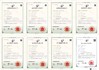 چین Hunan Golden Import and Export Co., Ltd. گواهینامه ها